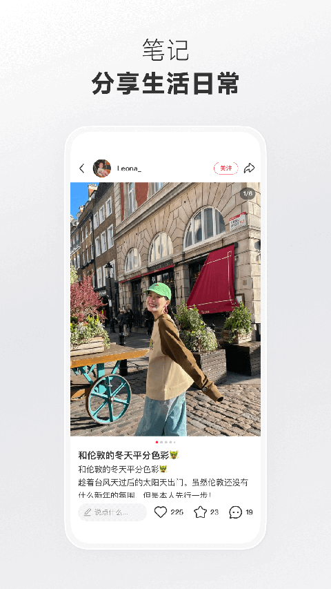 柴犬项圈铃铛震落枫叶拼成大象画像壁纸